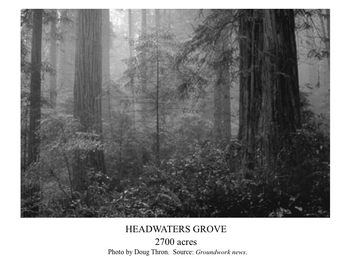 09. Headwaters Thron Foto