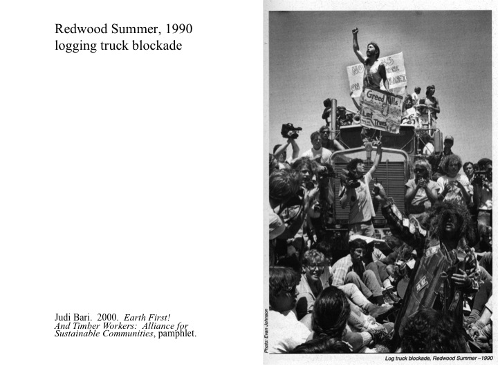 11. Redwood Summer Truck Protest